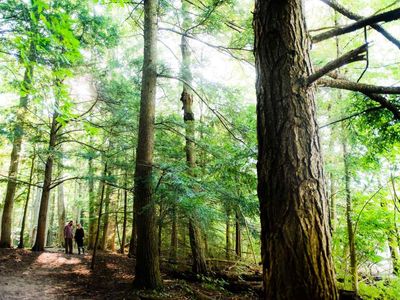 3 Hiking Trails in Southern Ontario: Get off the beaten path in Oxford County 3 Hiking Trails in Southern Ontario: Get off the beaten path in Oxford County